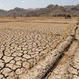 Daftar Wilayah yang Berpotensi Terdampak El Nino 2026