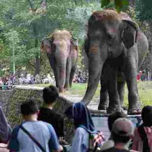 Ragunan Diserbu Wisatawan saat Libur 1 Muharam