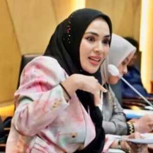 DPR Usul Kemenukbangga Jadi Penyalur BLT