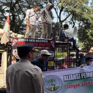 Petani Protes Pembayaran Hasil Sawit Tertahan