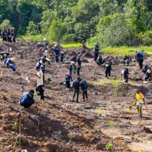 Lahan Bekas Tambang Ilegal di Kawasan IKN Direhabilitasi