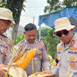 Kapolres Karawang Cek Jagung Hibrida Jelang Panen