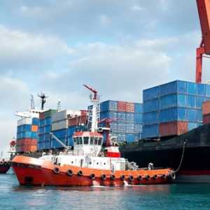Remote Pilotage