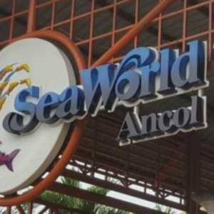 Lansia Gratis Masuk Wahana Ancol, Cek Caranya