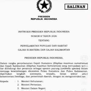 Presiden Prabowo Teken Inpres Penyelamatan Gajah Sumatera dan Kalimantan