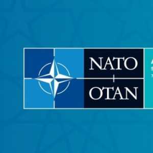 Intern NATO Keturunan China-Kanada Ditangkap Atas Dugaan Spiaonase