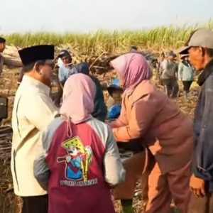 Prabowo Sapa dan Salami Petani Tebu di Panen Raya Malang