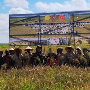 Rekrutmen OAP Harus Diperbesar dalam PSN Cetak Sawah Wanam