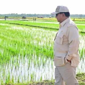 Menakar Reforma Agraria sebagai Fondasi Swasembada Pangan Berkelanjutan
