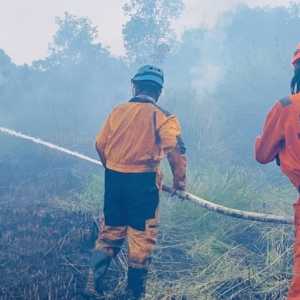 Karhutla Mengamuk di Jawa dan Kalimantan, 1 Warga Pingsan