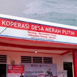 Saatnya KDMP jadi Pemasok Warung Rakyat