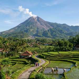 Viral Pendaki Padati Gunung Merapi via Selo, TNGM Sebut Tidak Direkomendasikan