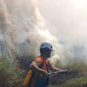 Karhutla Kerap Terjadi di Lokasi Sama, Kemenhut Diminta Perkuat Mitigasi