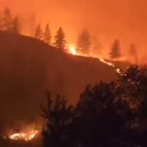 Kebakaran Hutan Kanada Mengganas, 20 Ribu Warga Terpaksa Mengungsi
