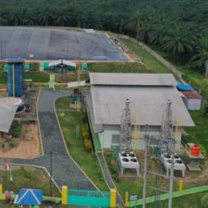 Siap Bagikan Dividen Pasca-Kuasireorganisasi, BWPT Genjot EBITDA dan Ekspansi Biogas