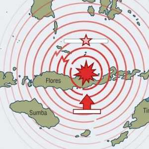 Gempa M 7,7 Guncang Flores, BMKG Keluarkan Peringatan Dini Tsunami