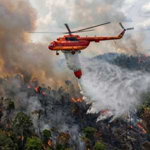 Apa Itu Ubi Bombing? Jadi Alternatif untuk Padamkan Api Karhutla