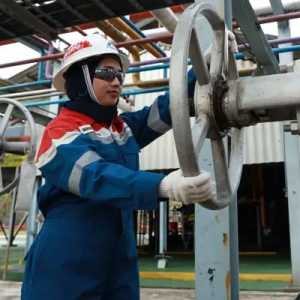 Produksi Masih Lemah, Delapan Insentif Hulu Migas Diperlukan