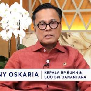 Peta Danantara: 52 Persen dari 1.074 Perusahaan Masih Catat Rugi