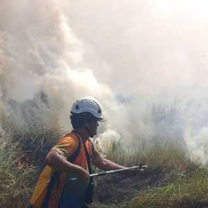 Peringatan Dini BMKG Modal Penting Hadapi Karhutla