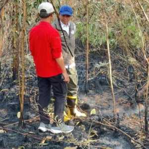 Karhutla Kalsel, Api Tak Terlihat tapi Gambut Masih Berasap