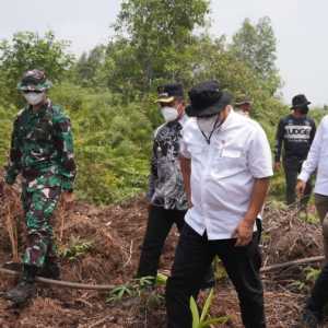 Segel 4 Lahan Konsesi, Menteri LH Bertolak ke Kalimantan Usai Pantau Karhutla Riau