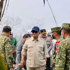 Kecurigaan Netizen Benar, Habis Karhutla, Muncullah Sawit