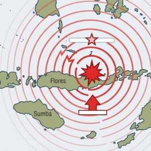 PLN Kejar Pemulihan Listrik Usai Gempa 7,7 Magnitudo Guncang NTT