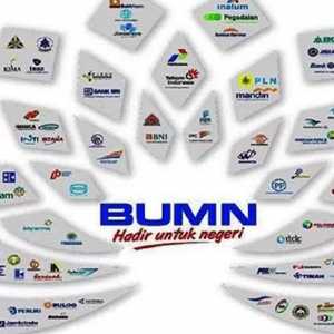 Perampingan BUMN untuk Perkuat Ekonomi Nasional