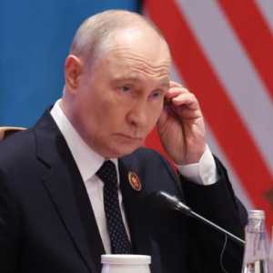 Putin Tolak Ajakan Zelensky Bertemu di KTT G20 Miami