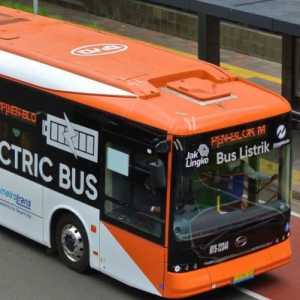 Subsidi Bus Listrik Lebih Mendesak Dibanding Motor Listrik
