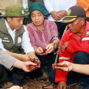 Pengelolaan Gambut di Riau Jadi Rujukan Badan Baru Bentukan Prabowo