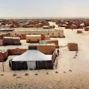 Bantuan Kemanusiaan Kamp Tindouf Diduga Diselewengkan, Polisario Disorot