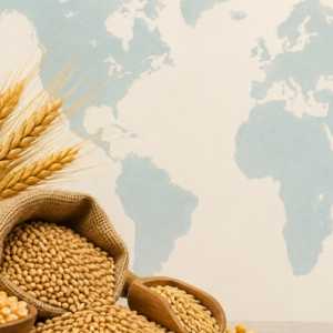 Harga Pangan Global Naik ke Level Tertinggi dalam Hampir 4 Tahun