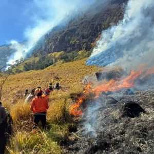 Savana Gunung Bromo Terbakar Lagi, DPR Heran Pengawasan Kemenhut Lemah!