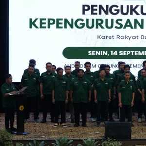 APKARINDO Perjuangkan Ksejahteraan Petani hingga Kejayaan Karet Rakyat