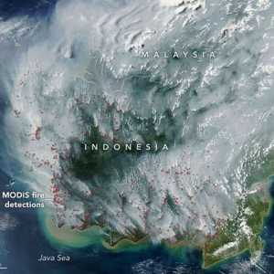 Kalimantan Diselimuti Asap Karhutla, Begini Penampakannya dari Satelit NASA