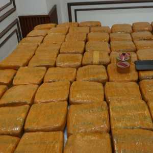 Polda Metro Jaya Bongkar Peredaran 62,5 Kg Ganja di Jakarta Barat