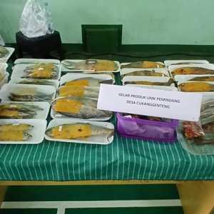 Ekosistem Pengolahan Ikan Skala Mikro dan Kecil Terus Diperkuat