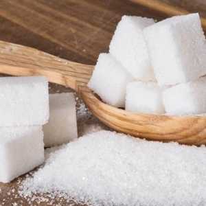 Tata Niaga Gula Disorot: Harga Petani Rp14.500, APTRI Usulkan Kenaikan