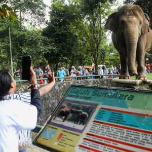Kenaikan Tarif Masuk Ragunan Masih Ramah di Kantong