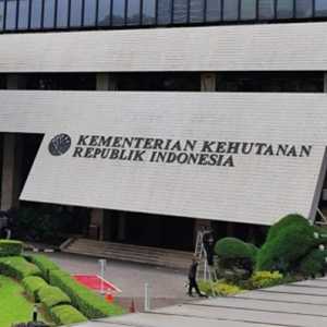 BPK Didesak Evaluasi WTP Kemenhut di Tengah Potensi Kerugian Rp104,43 T