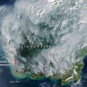 Cara Cek Sebaran Asap Karhutla lewat Website BMKG dan NASA