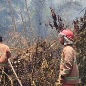 Sultan Deli XIV Desak Perusahaan Pembakar Hutan Ditindak Tegas