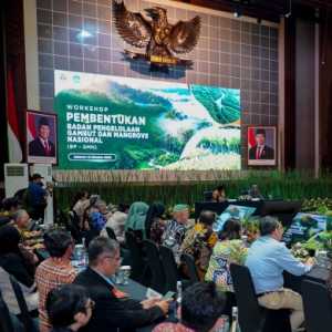 Pembentukan Badan Pengelola Gambut dan Mangrove Nasional Dikebut