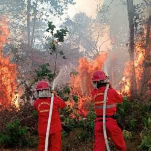 Tanpa Ketegasan Hukum Karhutla Akan Terus Berulang