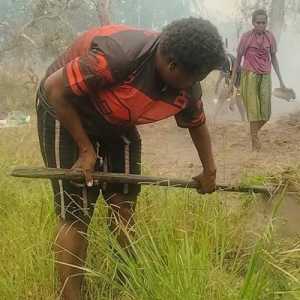 Sukseskan Kemandirian Pangan, Petani Adat Wanam Butuh Pendampingan