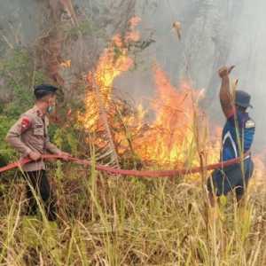 Brimob Malut Gercep Padamkan Kebakaran Lahan