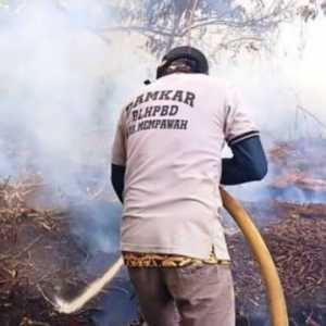 Perusahaan Pembakar Hutan Jangan cuma Disanksi Administratif