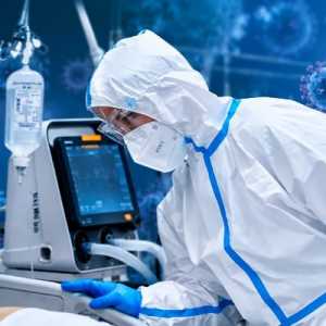 Dugaan Bakteri Pes Bocor dari Lab, Rusia Bantah Ada Wabah